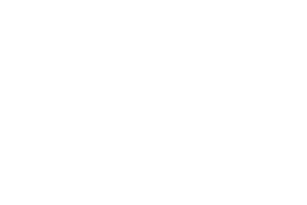 YSL : Brand Short Description Type Here.